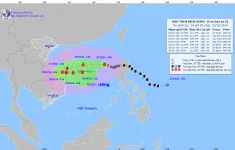 Bão số 6 diễn biến rất phức tạp, biển động dữ dội