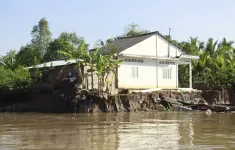 Vĩnh Long chủ động ứng phó, giảm thiểu thiệt hại do sạt lở bờ sông