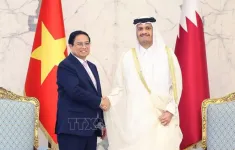 Sớm nâng cấp quan hệ Việt Nam - Qatar lên khuôn khổ mới