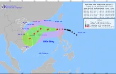 Bão số 7 mạnh cấp 14, giật cấp 17, biển động dữ dội