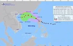 Bão số 8 di chuyển theo hướng Tây Bắc, gió giật cấp 12