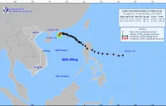 Bão số 8 suy yếu thành áp thấp nhiệt đới trên biển