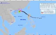 Bão số 8 trên khu vực Bắc Biển Đông có sức gió giật cấp 10