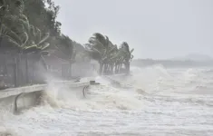 Từ Quảng Ninh đến Bình Định chủ động ứng phó với bão Usagi gần biển Đông