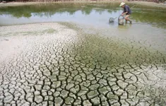 Thu hút tài chính khí hậu tại COP29