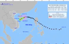 Bão số 9 giật cấp 10, cách Hoàng Sa khoảng 220km