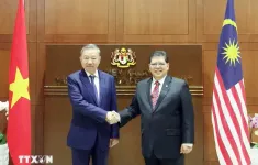 Tổng Bí thư Tô Lâm hội kiến Chủ tịch Hạ viện Malaysia