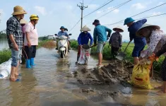 Hà Nội: Công bố tình huống khẩn cấp sạt lở đê tại Chương Mỹ