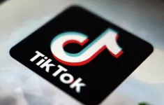 CEO TikTok tìm kiếm trợ giúp từ Elon Musk