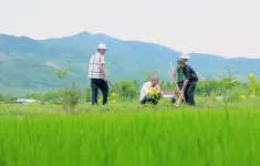 Hành trình xây dựng môi trường bền vững tại Bình Định và Hà Nam