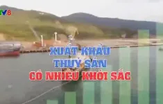 Xuất khẩu thủy sản có nhiều khởi sắc