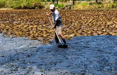 Thủ tướng chỉ đạo chủ động phòng, chống hạn hán, thiếu nước, xâm nhập mặn