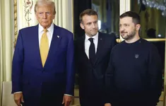 Kết quả hội đàm ba bên giữa Tổng thống Zelensky, Tổng thống Macron và ông Trump