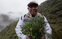 Hàng triệu "cây mây" đang được trồng ở dãy Andes