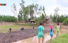 Trà Vinh: Về Cồn Chim sống thuận thiên