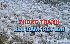 Không chủ quan trước thời tiết rét đậm