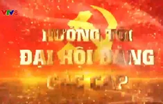 Chuyên mục "Hướng tới Đại hội Đảng các cấp" (22/12/2024)