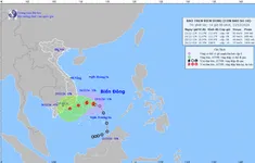 Áp thấp nhiệt đới trên Biển Đông đã mạnh lên thành bão số 10 (Pabuk)