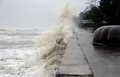 ​Từ Phú Yên đến Cà Mau chủ động ứng phó bão số 10