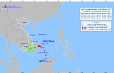 Bão số 10 di chuyển theo hướng Tây Tây Nam, biển động mạnh