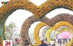 Rực rỡ sắc màu tại Festival hoa Mê Linh 2024