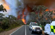 "Giặc lửa" thiêu rụi 74 nghìn ha rừng tại Australia