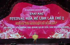 Lễ hội hoa lớn nhất Miền Bắc "Mê Linh rực rỡ sắc hoa"