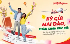 Chào mừng xuân mới Ất Tỵ 2025, Vietjet mở dịch vụ vận chuyển mai, đào Tết