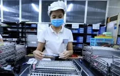 Giải ngân FDI năm 2024 cao nhất từ trước đến nay