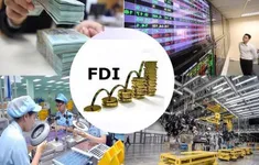 FDI tăng trưởng thực chất