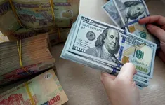 Tỷ giá USD tăng hơn 5% trong năm 2024