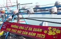 Ngư dân các tỉnh Nam Trung Bộ bám biển xuyên Tết