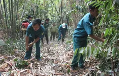 Vườn quốc gia Bù Gia Mập chủ động phòng, chống cháy rừng