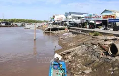 Cà Mau: Còn 43 hộ dân ở cửa biển Vàm Xoáy nằm trong nguy cơ sạt lở cao