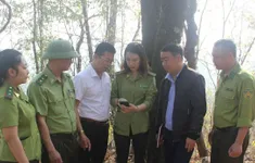 "Báo động đỏ" nguy cơ cháy rừng mùa khô tại Thuận Châu (Sơn La)