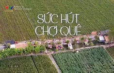 Sức hút từ những phiên chợ quê