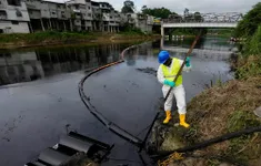 Ecuador ban bố tình trạng khẩn cấp do tràn dầu