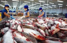 Đa dạng hóa sản phẩm cá tra xuất khẩu