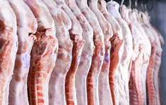 Gần 1.000 nhà máy thịt của Mỹ mất thị trường Trung Quốc