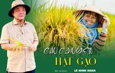 Câu chuyện hạt gạo