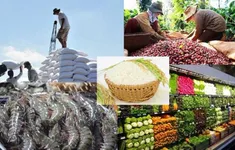 Kinh nghiệm xuất khẩu hàng tiêu dùng vào châu Âu