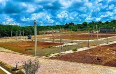 Thận trọng mua đất nền trong cơn sóng ảo
