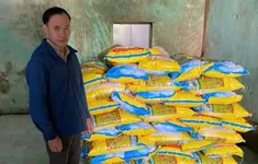 Khởi tố người đàn ông sản xuất, buôn bán gần 5,5 tấn giống lúa giả