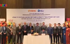 Pfizer và VNVC ký hợp tác trong lĩnh vực sản xuất vắc xin tại Việt Nam