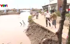 Sạt lở bờ kênh đe dọa nhiều người dân Bạc Liêu