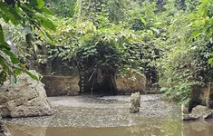 Thanh Hóa: Phát hiện nước suối Lèn Cò Noóng ô nhiễm do nước thải từ trại lợn