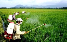 Đề xuất sửa Danh mục thuốc bảo vệ thực vật được phép sử dụng tại Việt Nam