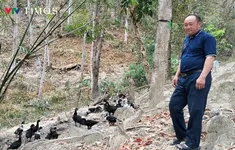 Lá đơn thoát nghèo và khát vọng đổi đời nơi biên giới