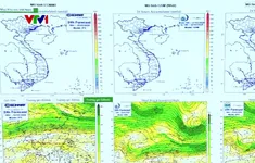 Nâng cao chất lượng dự báo bão, cảnh báo thiên tai