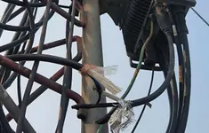 Nhanh chóng bắt giữ đối tượng trộm hơn 300m dây cáp viễn thông